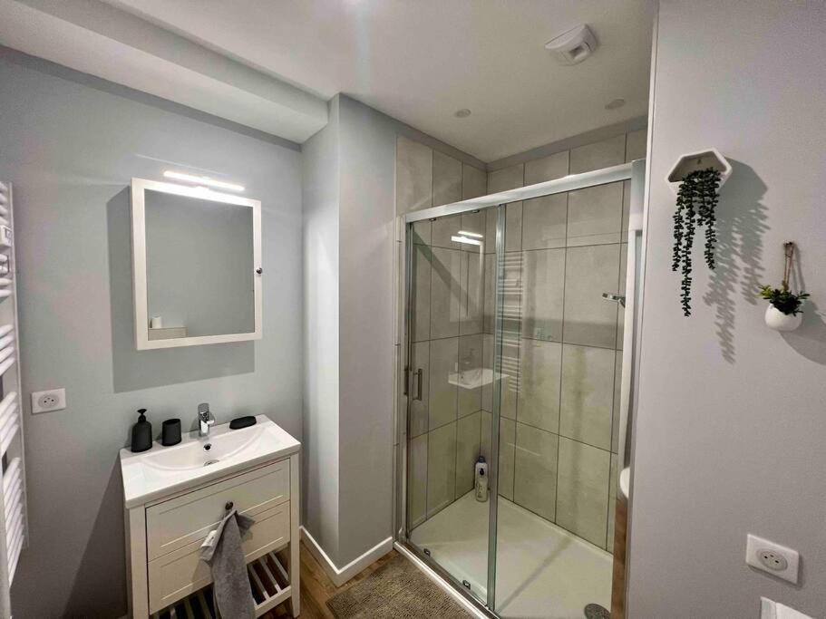 Appartement Climatise / Centre-Ville / 4 Personnes بُيزانكون المظهر الخارجي الصورة